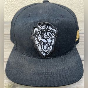Big Sean FF Lions Snapback Hat